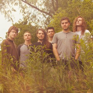 The Contortionist