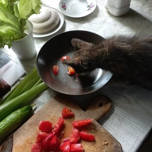 Старая кулинарная книга