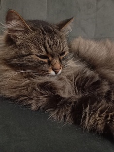 Истории из жизни Буси и Маргуши✨ 