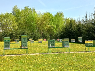 Мёд с Пасеки дикого мёда 