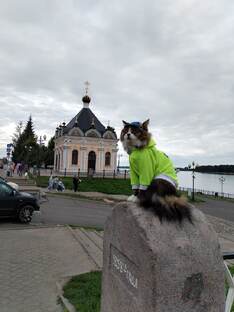 Танюшины прогулки