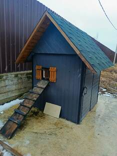 Кошкин дом перезимовал успешно🐱