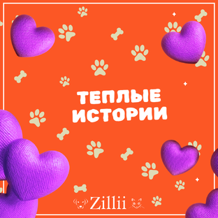 Теплые истории