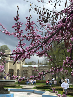 Путешествия 