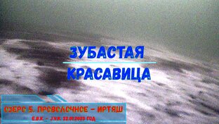 Подводные кадры