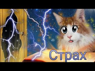 Поучительные Истории