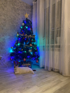 С Новым 2025 Годом!