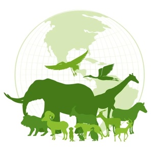 Животный мир