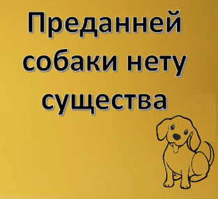 О верности и преданности