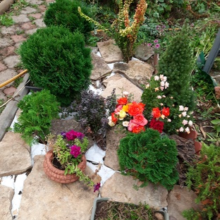 Дачная история