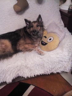 Привет от Лады из Сыктывкара.