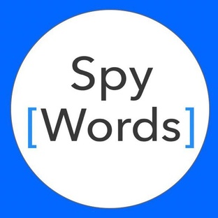 Описание инструментов сервиса SpyWords