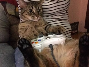 Готовые игры