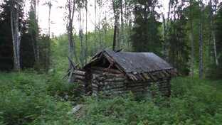 ИЗБА ИЗ БЕРЕЗЫ