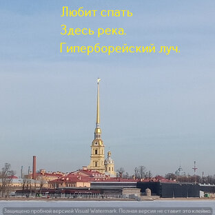 Петербург пролётом (хайку-верлибры)