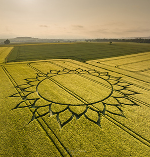 Круги на полях,  Crop circles 