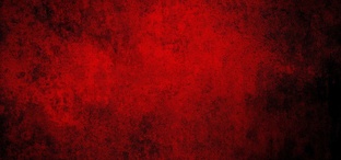 ИСТОРИЯ РУССКОЙ ПРАВОСЛАВНОЙ ЦЕРКВИ XX ВЕКА.