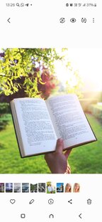 Книжные отзывы