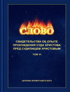  6. Свидетельства об опыте перед судилищем Христовым (TOM VI )