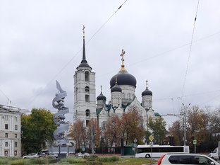 Родной Воронеж