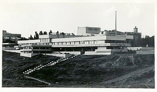 Истории и фото