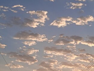 Год и характер 