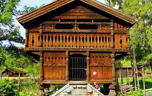 История технологии NATURI