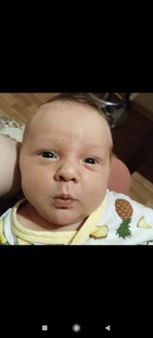 фотоальбом