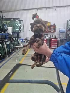 А у Вас какие Клиенты?