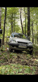 Аткарский бурелом 2024