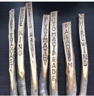 ОЧумелые ручки