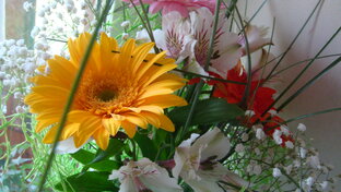 Житейские истории...Мои личные и придуманные