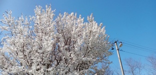 Сад и огород. 