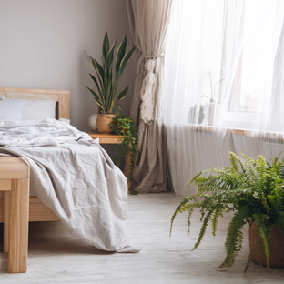 Место, в котором живет зелень: уход, здоровье и сила растений