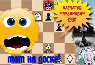 Шахматы