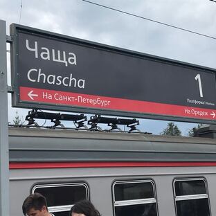 Чаща Гатчинский район