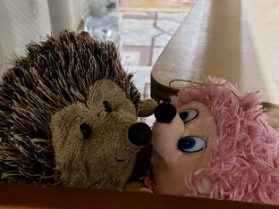 Плюшевые истории