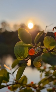 Летнее Солнышко