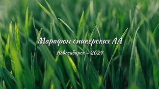 Марафон спикерских – 2024 в Новосибирске
