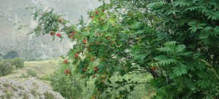 Путешествия