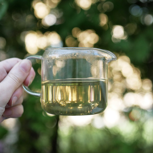 Зелёный чай 绿茶