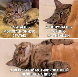 Мотивация