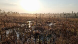 Прошлые поездки в Карелию.