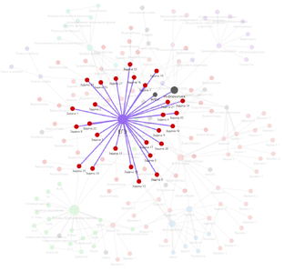 Разбор ЕГЭ по Информатике 2025