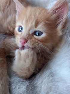 Не только жизнь в деревне 