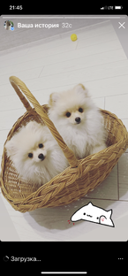 Сериал «Малыши»