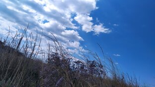 Требования времени