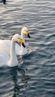 Алтайский край📍