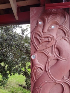 Новая Зеландия в фокусе... 