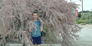 Алхимия Питания